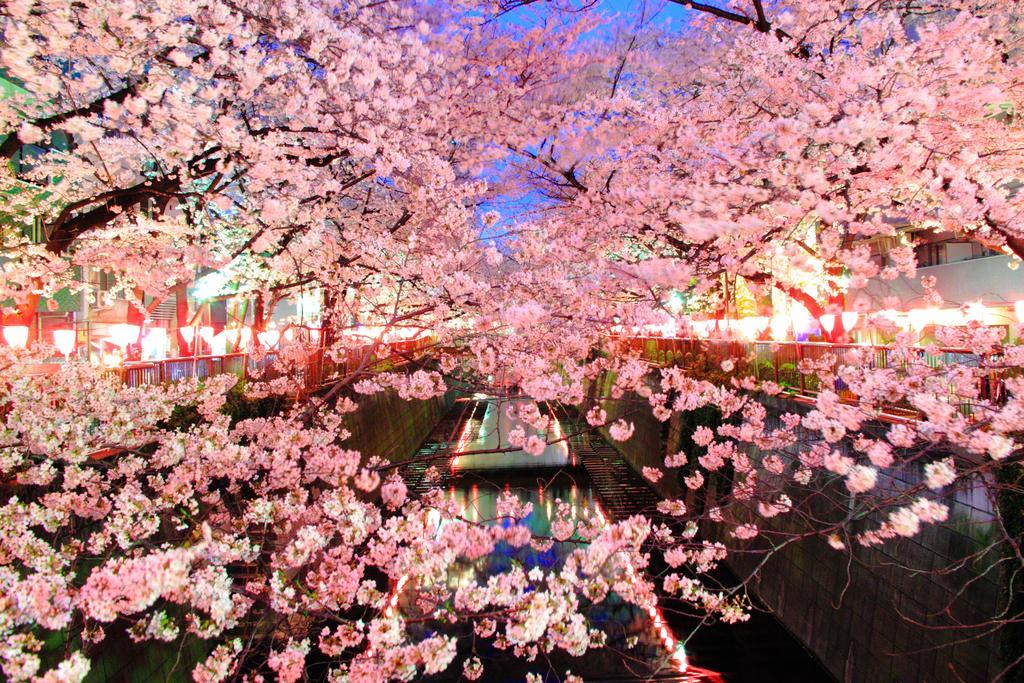Coto Tokyo Shibuya Apartment ภายนอก รูปภาพ
