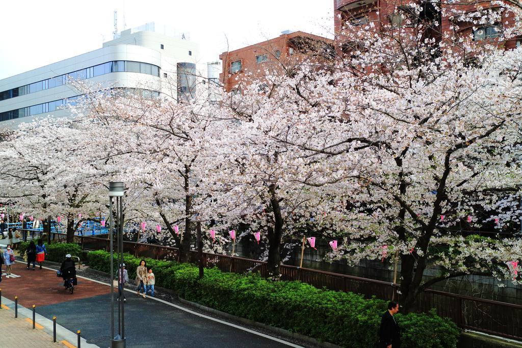Coto Tokyo Shibuya Apartment ภายนอก รูปภาพ